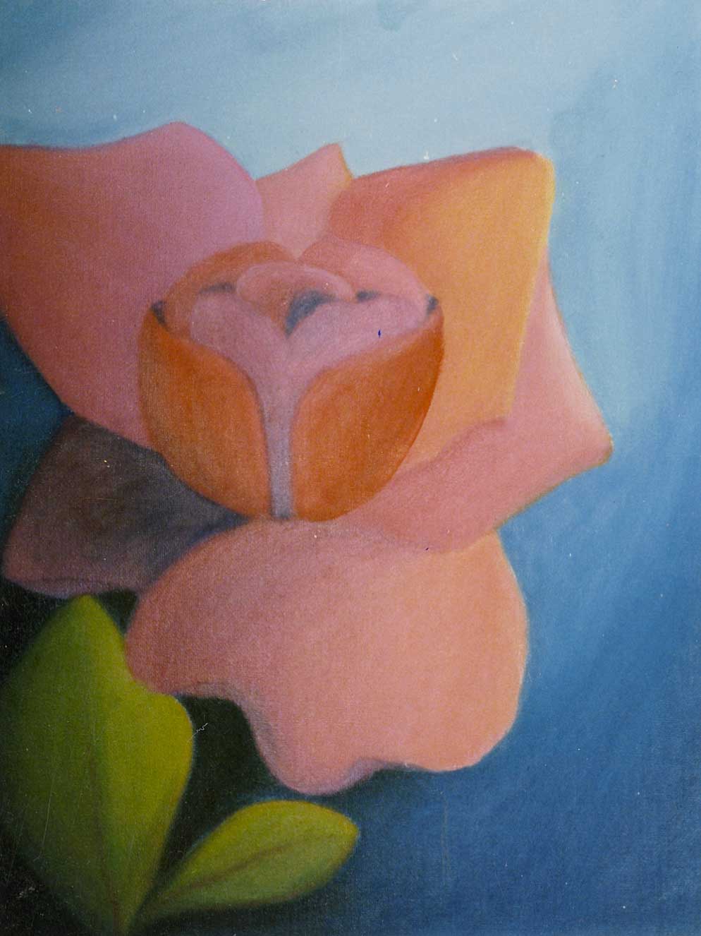 Original Artwork By Anne Bageley