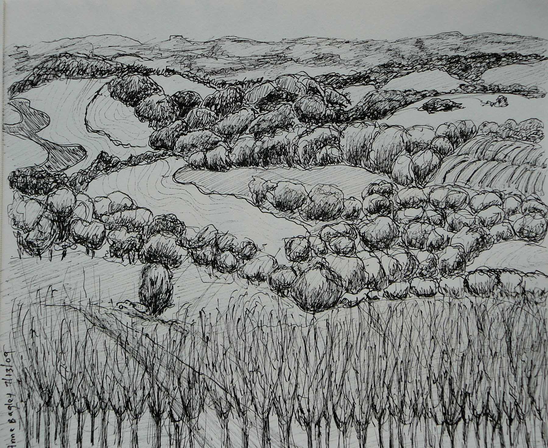 Original Artwork By Anne Bageley