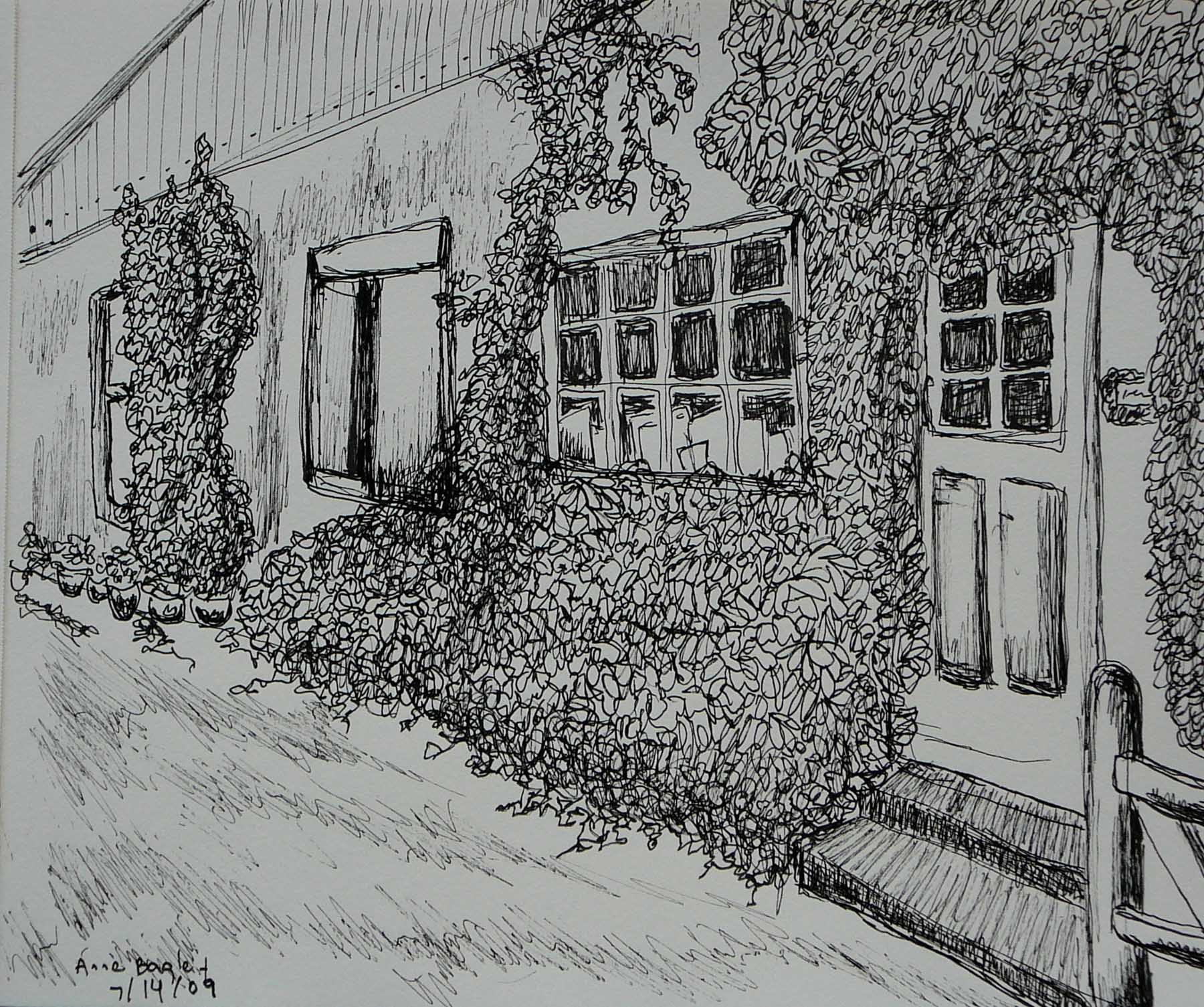 Original Artwork By Anne Bageley