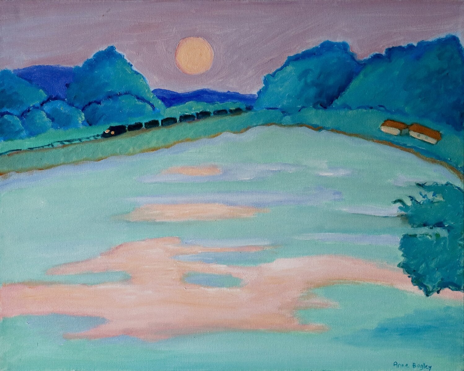 Original Artwork By Anne Bageley